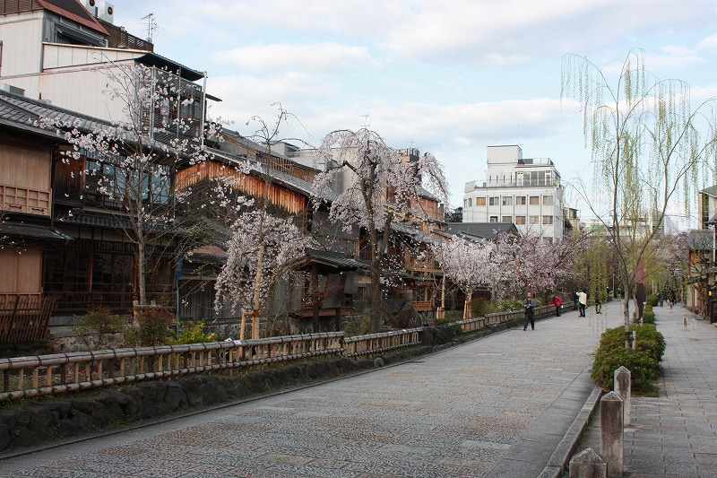 祇園白川街景實拍